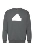 M Fi Bos Crw Sport Sweatshirts & Hoodies Sweatshirts Grey Adidas Sportswear