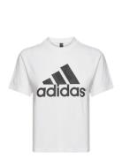 W Aop Tee Sport T-shirts & Tops Short-sleeved White Adidas Sportswear