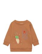 Sgbuzz Emb Bugs Sweatshirt Tops Sweatshirts & Hoodies Sweatshirts Brown Soft Gallery
