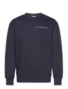 Printed Graphic C-Neck Sweat Tops Sweatshirts & Hoodies Sweatshirts Blue GANT