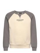 Nlmtreams Ls Bru O-Neck Sweat Tops Sweatshirts & Hoodies Sweatshirts Grey LMTD