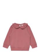 Nmftami Sweat Bru Box Tops Sweatshirts & Hoodies Sweatshirts Pink Name It