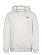 Ri Left Chest Logo H Sport Sweatshirts & Hoodies Hoodies Grey Reebok Classics