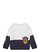 Paw Patrol Sweatshirt Tops Sweatshirts & Hoodies Sweatshirts Multi/patterned Mango