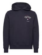 Arched Varsity Hoody Tops Sweatshirts & Hoodies Hoodies Navy Tommy Hilfiger