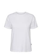 Nmbrandy S/S Top Noos Tops T-shirts & Tops Short-sleeved White NOISY MAY