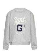 Relaxed Graphic Sweat C-Neck Tops Sweatshirts & Hoodies Sweatshirts Grey GANT