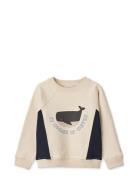 Aude Placement Sweatshirt Tops Sweatshirts & Hoodies Sweatshirts Cream Liewood