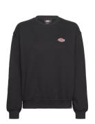 Millersburg Sweatshirt W Tops Sweatshirts & Hoodies Sweatshirts Black Dickies