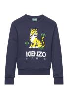 Sweatshirt Tops Sweatshirts & Hoodies Sweatshirts Navy Kenzo