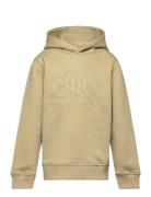 Tonal Shield Hoodie Tops Sweatshirts & Hoodies Hoodies Khaki Green GANT