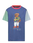 Polo Bear Color-Blocked Cotton Tee Tops T-Kortærmet Skjorte Blue Ralph Lauren Kids