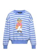 Polo Bear French Terry Sweatshirt Tops Sweatshirts & Hoodies Sweatshirts Blue Ralph Lauren Kids