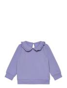 Nmftami Sweat Bru Box Tops Sweatshirts & Hoodies Sweatshirts Purple Name It