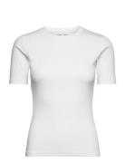 Saalexo T-Shirt 7542 Tops T-shirts & Tops Short-sleeved White Samsøe Samsøe