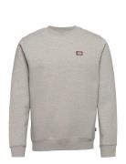Oakport Sweatshirt Designers Sweatshirts & Hoodies Sweatshirts Grey Dickies