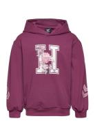 Hmlastrology Hoodie Sport Sweatshirts & Hoodies Hoodies Purple Hummel