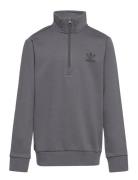 Adicolor Half-Zip Sweatshirt Sport Sweatshirts & Hoodies Sweatshirts Grey Adidas Originals