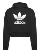 Cropped Hoodie Sport Sweatshirts & Hoodies Hoodies Black Adidas Originals