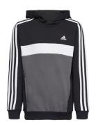 J 3S Tib Fl Hd Sport Sweatshirts & Hoodies Hoodies Black Adidas Sportswear