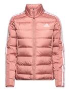 W Ess 3S L D J Sport Jackets Padded Jacket Coral Adidas Sportswear