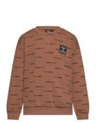 Hmlstreet Sweatshirt Sport Sweatshirts & Hoodies Sweatshirts Brown Hummel