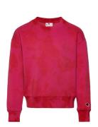 Crewneck Sweatshirt Sport Sweatshirts & Hoodies Sweatshirts Red Champion Rochester