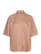 Shirts Tops Shirts Short-sleeved Brown Armani Exchange