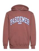 Pasdemer Design Hoody Designers Sweatshirts & Hoodies Hoodies Brown Pas De Mer