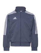 J Hot Ttop Sport Sweatshirts & Hoodies Sweatshirts Blue Adidas Performance