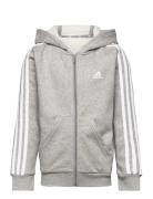 U 3S Fl Fz Hood Sport Sweatshirts & Hoodies Hoodies Grey Adidas Sportswear