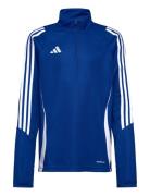 Tiro24 Trtopy Sport Sweatshirts & Hoodies Sweatshirts Blue Adidas Performance