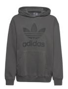 Washd Trf Hoody Sport Sweatshirts & Hoodies Hoodies Black Adidas Originals