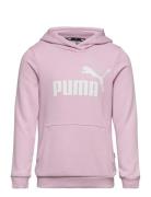 Ess Logo Hoodie Tr G Sport Sweatshirts & Hoodies Hoodies Pink PUMA