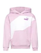 Puma Power Colorblock Hoodie Tr G Sport Sweatshirts & Hoodies Hoodies Pink PUMA