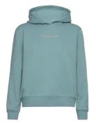 Institutional Regular Hoodie Tops Sweatshirts & Hoodies Hoodies Blue Calvin Klein Jeans