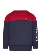 Sweatshirts Sport Sweatshirts & Hoodies Sweatshirts Multi/patterned Lacoste