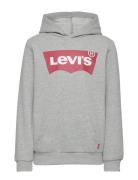 Levi's® Batwing Screenprint Hooded Pullover Tops Sweatshirts & Hoodies Hoodies Grey Levi's