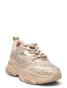 Jprivy Sneaker Low-top Sneakers Beige Steve Madden