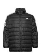 Essentials Light Down Jacket  Sport Jackets Padded Jacket Black Adidas Sportswear