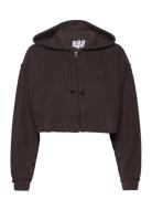 Crop Full-Zip Loungewear Hoodie Sport Sweatshirts & Hoodies Hoodies Brown Adidas Originals