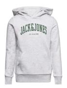 Jjejosh Sweat Hood Sn Jnr Tops Sweatshirts & Hoodies Hoodies Grey Jack & J S