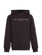 Essential Hoodie Tops Sweatshirts & Hoodies Hoodies Black Tommy Hilfiger