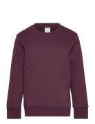 Sweatshirt Basic Tops Sweatshirts & Hoodies Sweatshirts Burgundy Lindex