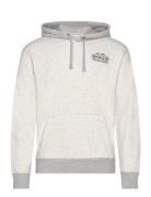 Hco. Guys Sweatshirts Tops Sweatshirts & Hoodies Hoodies Grey Hollister