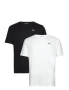 Brod Tee / Double Pack Sport T-Kortærmet Skjorte Multi/patterned FILA