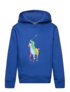 Big Pony Fleece Hoodie Tops Sweatshirts & Hoodies Hoodies Blue Ralph Lauren Kids