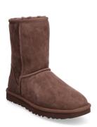 W Classic Short Ii Shoes Boots Ankle Boots Ankle Boots Flat Heel Brown UGG