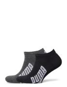 Puma Unisex Bwt Lifestyle Sneaker 2 Lingerie Socks Footies-ankle Socks Black PUMA