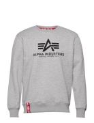 Basic Sweater Designers Sweatshirts & Hoodies Sweatshirts Grey Alpha Industries